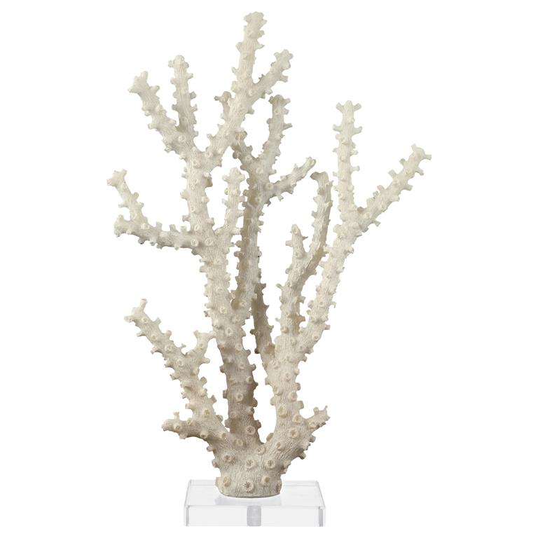 PR ACRYLIC CORAL