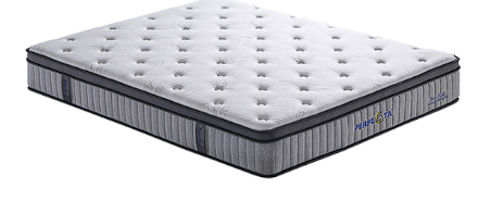 Marriot Resort Le Mans Euro mattress