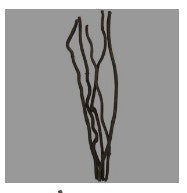 BROWN WOOD DULA LOG TALL BRANCH NATURAL FOLIAGE, 11" X 5" X 39"