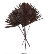 DRIED PLANT PALM LEAF HANDMADE LARGE SUN PALM SPEAR NATURAL FOLIAGE,