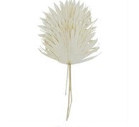 DRIED PLANT PALM LEAF HANDMADE LARGE SUN PALM SPEAR NATURAL FOLIAGE,