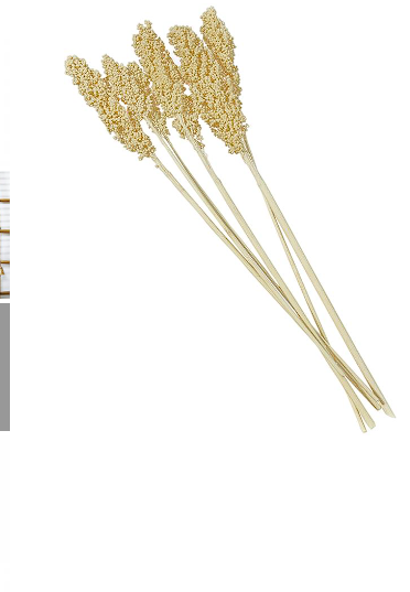 CREAM DRIED PLANT CORN MAZE NATURAL FOLIAGE WITH LONG STEMS,