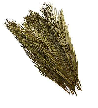 DRIED PLANT NATURAL FOLIAGE WITH SLENDER STEMS,
