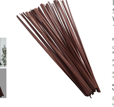 DRIED PLANT NATURAL FOLIAGE WITH SLENDER STEMS,