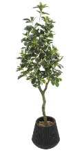GREEN FAUX FOLIAGE EUCALYPTUS ARTIFICIAL TREE WITH BLACK PORCELAIN POT, 17" X 17" X 49"