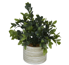 GREEN FAUX FOLIAGE EUCALYPTUS ARTIFICIAL PLANT WITH PATTERNED PORCELAIN POT, 9" X 9" X 11"
