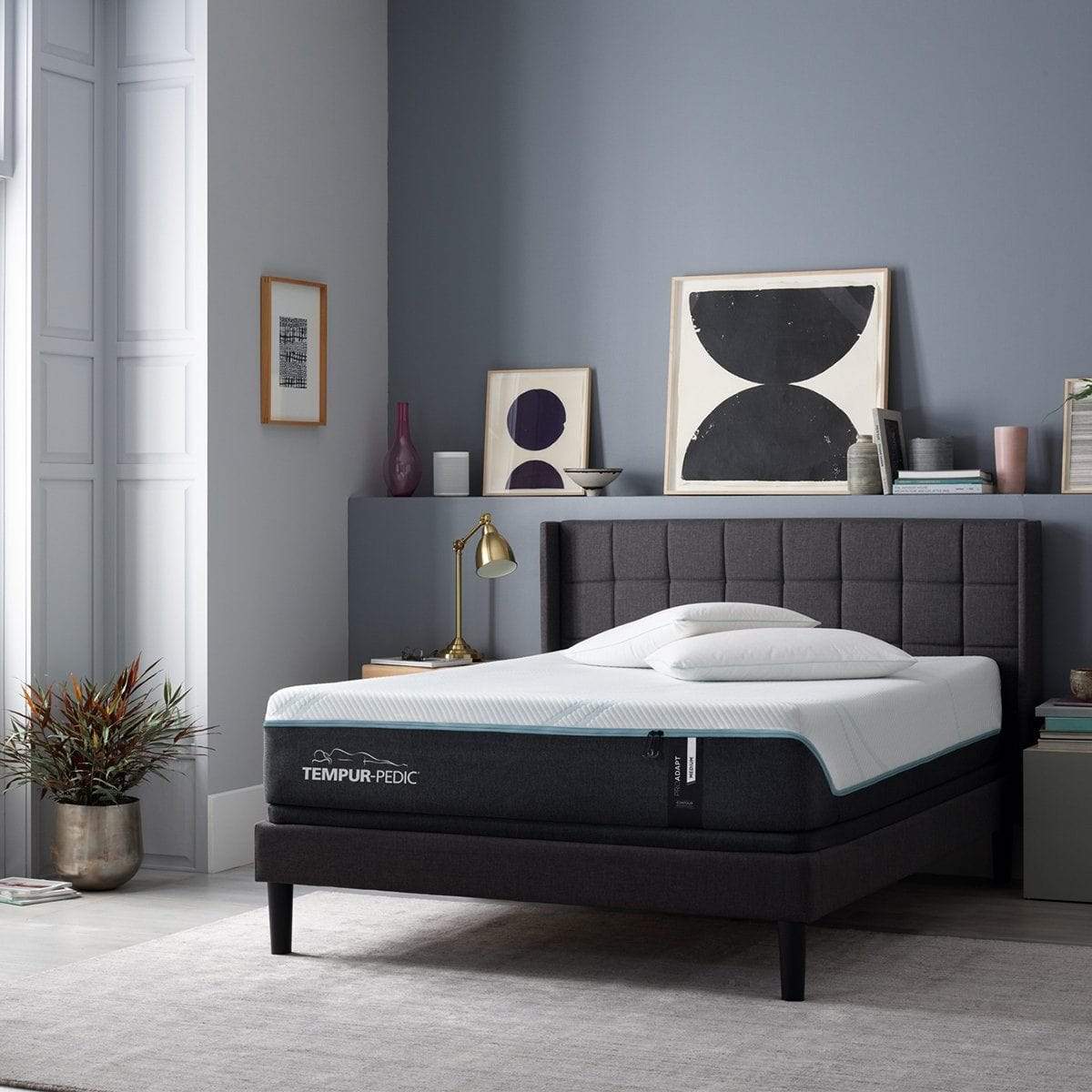Tempur Pedic Pro Adapt