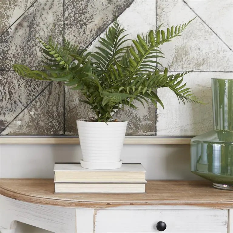 Fern Artificial Plan
