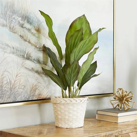 White Plastic Coastal Dieffenbachia Artificial Plant