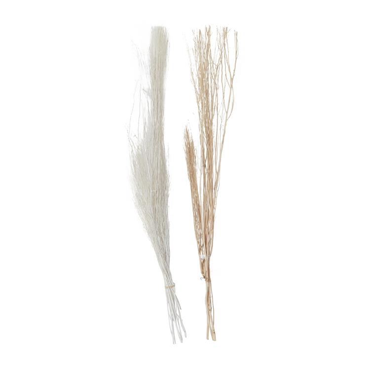 BROWN DRIED PLANT PIGEON PEA NATURAL FOLIAGE