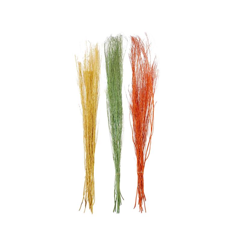 MULTI COLORED DRIED PLANT PIGEON PEA NATURAL FOLIAGE