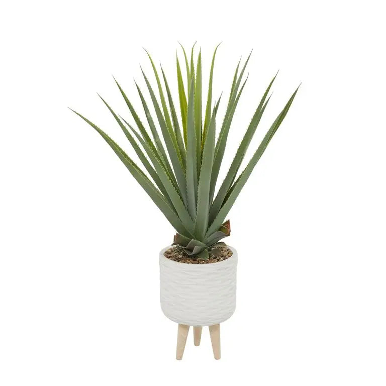 White Plastic Modern Agave Artificial Plant,