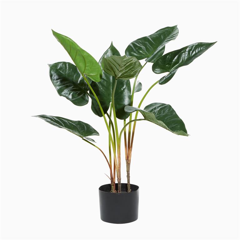 GREEN FAUX FOLIAGE ANTHURIUM ARTIFICIAL PLANT WITH BLACK PLASTIC POT,