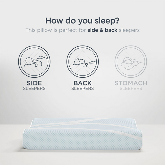 TEMPUR-PEDIC Neck Pillow