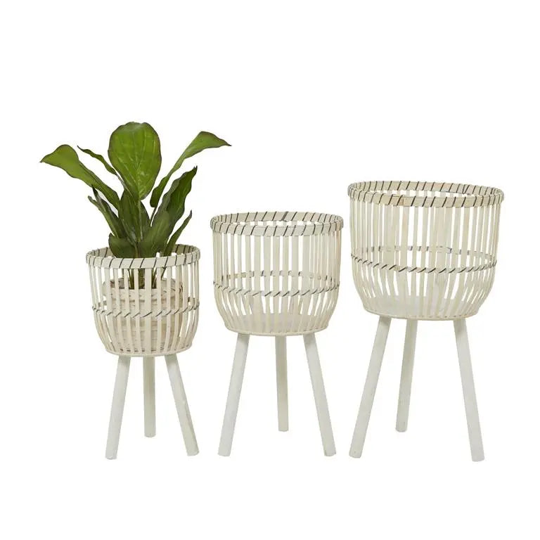 White Bamboo Bohemian