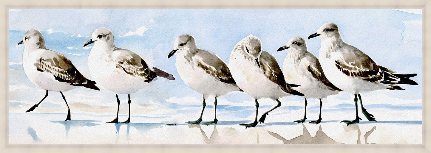 Birds