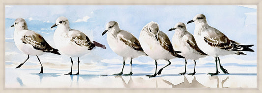 Birds