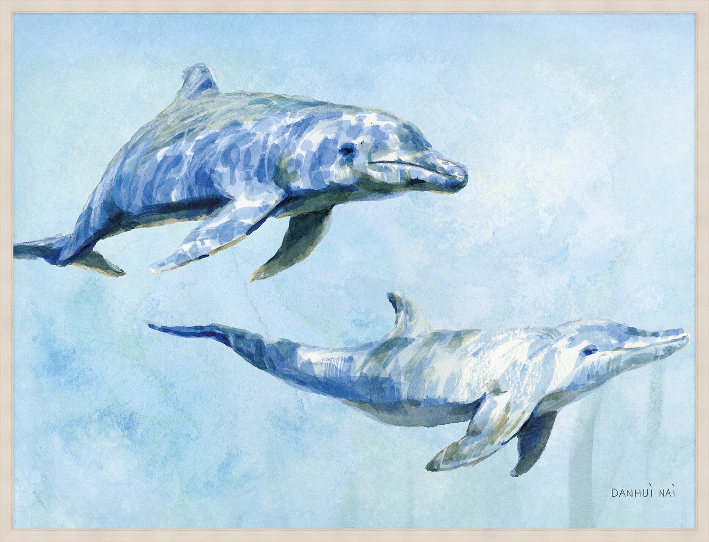 Dolphin
