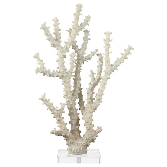 PR ACRYLIC CORAL
