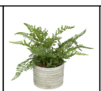 GREEN FAUX FOLIAGE FERN ARTIFICIAL PLANT WITH PATTERNED ROUND POT, 13" X 12" X 11"