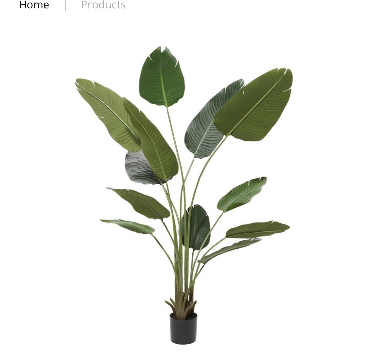GREEN FAUX FOLIAGE BIRD OF PARADISE ARTIFICIAL TREE WITH REALISTIC LEAVES AND BLACK PLASTIC POT, 47" X 39" X 70"