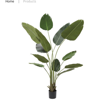 GREEN FAUX FOLIAGE BIRD OF PARADISE ARTIFICIAL TREE WITH REALISTIC LEAVES AND BLACK PLASTIC POT, 47" X 39" X 70"