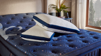 Lux Estate Dual Cmfort Pillow
