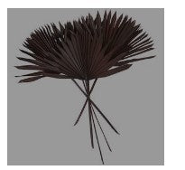 DRIED PLANT PALM LEAF HANDMADE LARGE SUN PALM SPEAR NATURAL FOLIAGE,