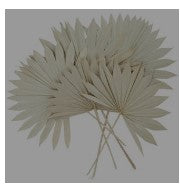 CREAM DRIED PLANT PALM LEAF HANDMADE LARGE SUN SPEAR NATURAL FOLIAGE, 20" X 3" X 29"