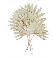 CREAM DRIED PLANT PALM LEAF HANDMADE LARGE SUN SPEAR NATURAL FOLIAGE, 20" X 3" X 29"