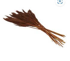 DRIED PLANT PAMPAS NATURAL FOLIAGE WITH LONG STEMS, 2" X 1" X 35"