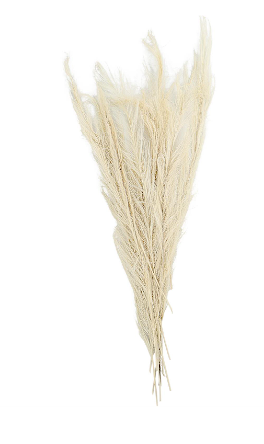 WHITE DRIED PLANT FEATHER LIKE LEAVES NATURAL FOLIAGE WITH STEMS, 4" X 1" X 35"