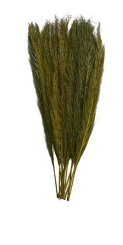 GREEN DRIED PLANT LEAVES NATURAL FOLIAGE WITH FEATHER INSPIRED STEMS, 4" X 1" X 35"