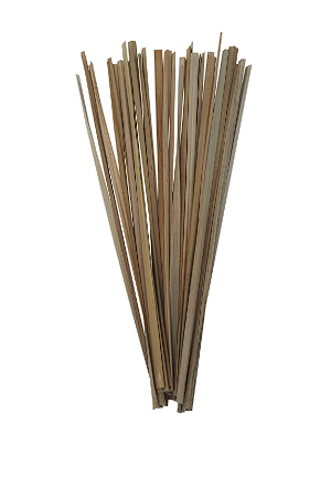 DRIED PLANT NATURAL FOLIAGE WITH SLENDER STEMS,