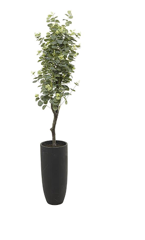 GREEN FAUX FOLIAGE EUCALYPTUS ARTIFICIAL TREE WITH BLACK PLASTIC POT, 26" X 26" X 57"