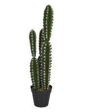 GREEN FAUX FOLIAGE CACTUS ARTIFICIAL PLANT WITH BLACK ROUND POT, 5" X 5" X 23"