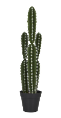 GREEN FAUX FOLIAGE CACTUS ARTIFICIAL PLANT WITH BLACK ROUND POT, 5" X 5" X 23"