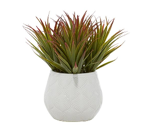 GREEN FAUX FOLIAGE STRIPED STEMMED ALOE ARTIFICIAL PLANT WITH WHITE CERAMIC POT, 9" X 9" X 9"