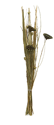 GREEN DRIED PLANT LOTUS FLOWER HANDMADE TALL BOUQUET NATURAL FOLIAGE WITH GRASS AND BRANCH ACCENTS, 10" X 7" X 40"