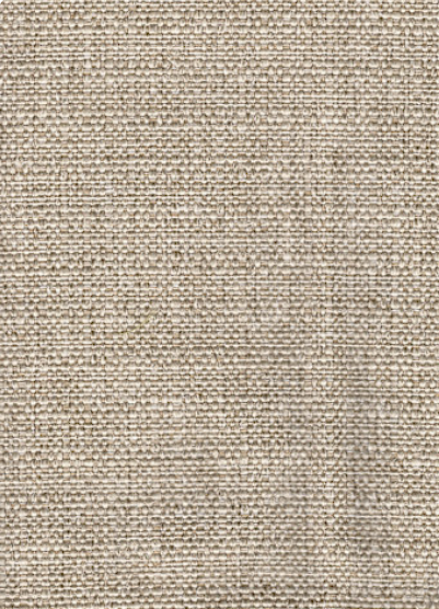 951-IS Queen Sleeper