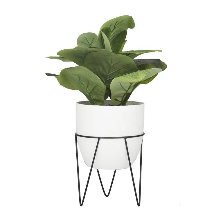 Pilea Artificial Plan