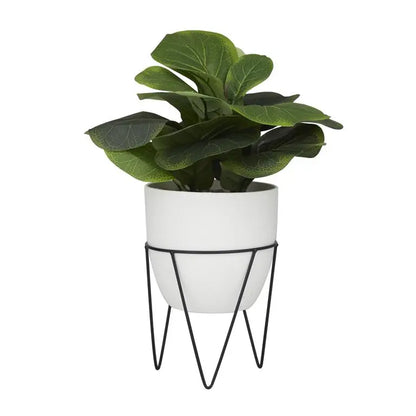 Pilea Artificial Plan