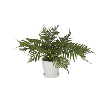 Fern Artificial Plan