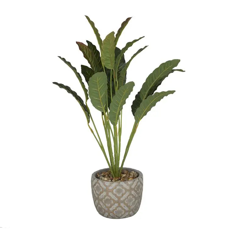 Gray Porcelain Bohemian Crotons Artificial Plant