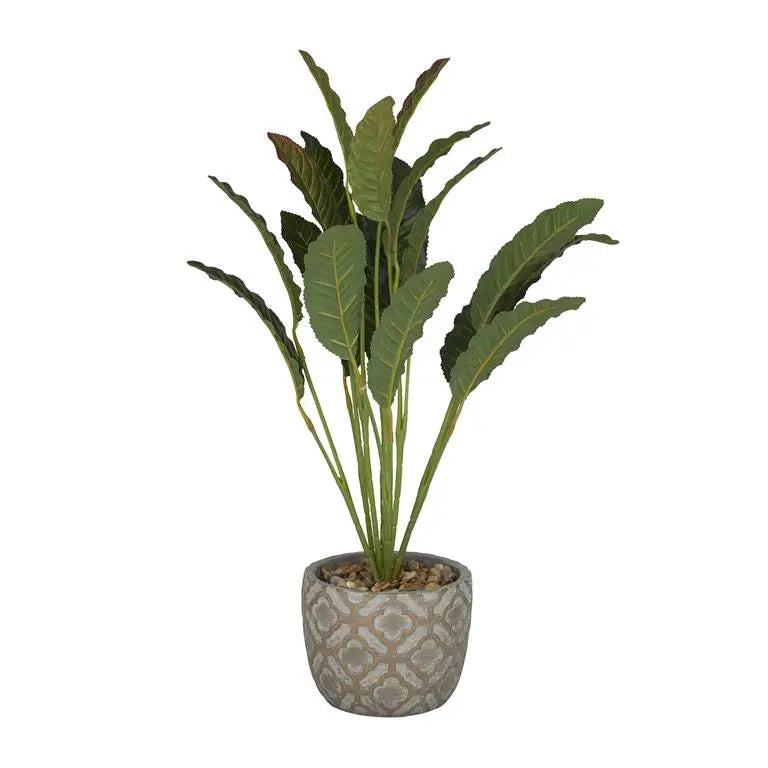 Gray Porcelain Bohemian Crotons Artificial Plant