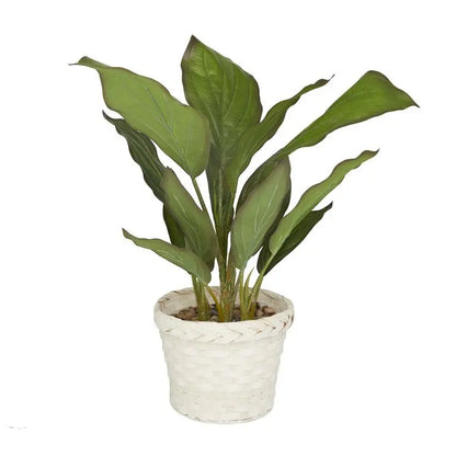 White Plastic Coastal Dieffenbachia Artificial Plant