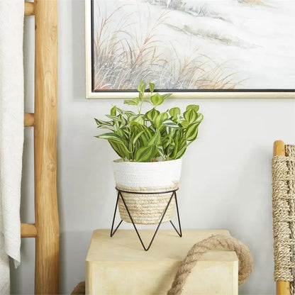 Green Rattan Coastal Sanchezia Artificial Plant