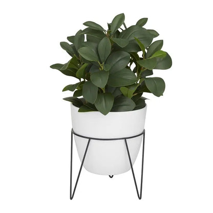 White Plastic Contemporary Eucalyptus Artificial Plant