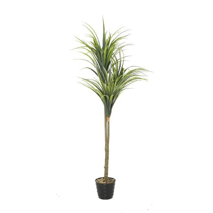 Dracaena Artificial Plant
