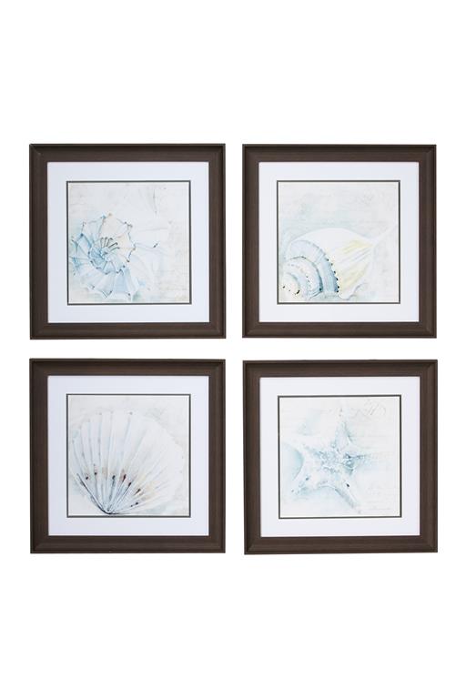 WHITE SQUARE SEA SHELL COASTAL WALL ART IN BROWN FRAMES